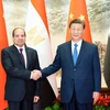 Tổng thống Ai Cập Abdel-Fattah El-Sisi và Chủ tịch Trung Quốc Tập Cận Bình. (Nguồn: Xinhua)