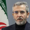 Quyền Ngoại trưởng Iran Ali Bagheri Kani. (Nguồn: AP)