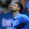 Djokovic bị loại khỏi US Open 2024 từ vòng 3. (Nguồn: A)