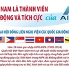 Việt Nam là thành viên chủ động và tích cực của AIPA