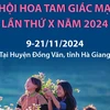 Lễ hội hoa tam giác mạch lần thứ X năm 2024