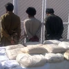 Cảnh sát Albania thu giữ 850 kg thuốc phiện chuyển tới Italy