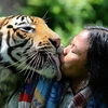 Nụ hôn giữa người và hổ gây xúc động mạnh
