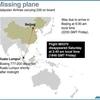 Chiếc máy bay mang số hiệu MH370 mất tích khi trên đường từ Kuala Lumpur đến Bắc Kinh (Nguồn: AFP)