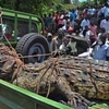 Cá sấu khổng lồ ăn thịt người hàng loạt bị bắt sống