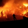 [Video] Cận cảnh đám cháy rừng thiêu rụi một góc thành phố