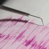 Miền Nam Iran rung chuyển vì trận động đất 5,1 độ Richter