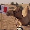 Thảm họa “tiên tri” khiến tuyển Pháp lo lắng trước trận gặp Thụy Sĩ