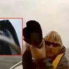Cá voi xanh khổng lồ bất ngờ đội cả thuyền nhô lên mặt nước