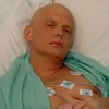 Anh mở cuộc điều tra công khai về cái chết của cựu điệp viên Nga