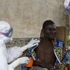 WHO họp khẩn để ngăn chặn sự lây lan của dịch bệnh Ebola