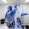 Châu Âu ráo riết chuẩn bị đối phó với nguy cơ Ebola bùng phát