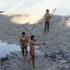 Bị truy đuổi, bộ lạc bí ẩn ở Amazon phải kêu gọi sự trợ giúp 
