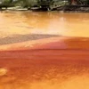 Mexico đóng cửa nhiều trường học vì nước sông nhiễm độc 