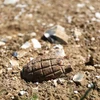 Ném quả lựu đạn cho chó trên bãi biển vì tưởng nhầm là đá 