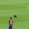 [Video] Mèo đen làm "náo loạn" chiến thắng tưng bừng của Barca