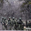Pháp có bằng chứng binh sỹ Nga can thiệp vào miền Đông Ukraine
