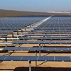 Khai trương nhà máy năng lượng Mặt Trời lớn nhất Australia