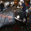 Nhật Bản chuẩn bị xẻ thịt hàng chục con cá voi để "nghiên cứu"