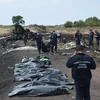 Xác định thêm danh tính 14 nạn nhân trong vụ rơi máy bay MH17