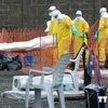 Senegal mở hành lang nhân đạo viện trợ để chống dịch Ebola