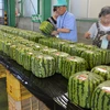 Nhật Bản thúc đẩy xuất khẩu hàng nông sản sang Trung Đông 