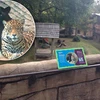 Cậu bé 3 tuổi nguy kịch khi bị 2 con báo ở vườn thú tấn công