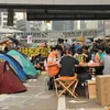 [Photo] Sinh viên Hong Kong vừa "Chiếm Trung tâm" vừa ôn bài