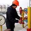 Nga, Ukraine thỏa thuận về điều kiện nối lại cung cấp khí đốt 