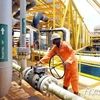 OPEC phải đối mặt với thời kỳ khó khăn do giá dầu giảm mạnh 