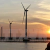 Doanh nghiệp Việt Nam và Đan Mạch hợp tác xây dự án điện gió