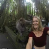 Khỉ dọa khách du lịch hoảng sợ khi chụp ảnh "tự sướng" 