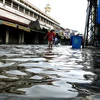 Phú Yên: Triều cường xâm thực sát nhà dân, tuyến kè biển sụt lún 