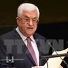 Palestine tham vấn về dự thảo chấm dứt sự chiếm đóng của Israel