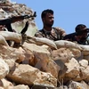 Syria: Lực lượng IS đang thất thế tại chiến trường Kobane 