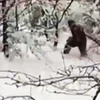 Các nhà khoa học bất ngờ bắt gặp "người tuyết Yeti" tại Nga 