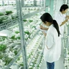 Công bố quy hoạch khu nông nghiệp sinh thái ứng dụng công nghệ cao
