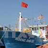 Gấp rút tiến hành xây dựng khu neo trú tàu thuyền ở đảo Lý Sơn
