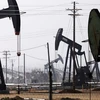 Giá dầu lao dốc khiến các tập đoàn dầu đá phiến khó trụ vững 