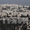 Israel thông qua kế hoạch xây 900 nhà định cư ở Đông Jerusalem 