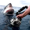 [Video] Cận cảnh vẻ đáng sợ của con cá mập trắng dài 4,5m