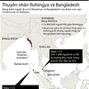 [Infographics] Cứu sống người di cư từ Myanmar và Bangladesh