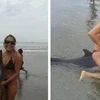 Cặp đôi bị lên án vì hành hạ chú cá heo tội nghiệp ở bãi biển