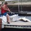 Thrift cố kéo con cá mập lên bờ. (Nguồn: Daily Mail)