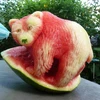 Chú gấu Bắc cực được tạo hình khéo léo trên quả dưa. (Nguồn: CCTV)