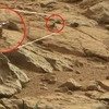 Sinh vật bí ẩn trên sao Hỏa. (Nguồn: NASA)