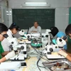 Giờ học thực hành trên xác côn trùng của học sinh đội tuyển Olympic Sinh học quốc tế. (Ảnh: Quý Trung/TTXVN)