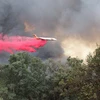Máy bay dập cháy rừng. (Nguồn:abc7news.com)