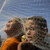 Các bé trai Palestine chơi đùa trên một chiếc lưới đánh bắt cá ở Gaza. (Nguồn: AFP) 