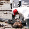 Lực lượng cứu hộ chuyển thi thể người di cư bị sóng đánh dạt lên bãi biển ở Zuwara ngày 28/8. (Nguồn: AFP/TTXVN)